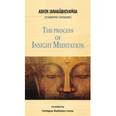 The process of insight meditation (ebook)