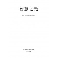 智慧之光 (ebook)